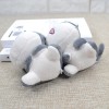 4inch Sweet Cat Seat Teddy Toy Animal Chi Cat Filling Doll Sweet Home Keychain Mini Soft Toy Kids Gift